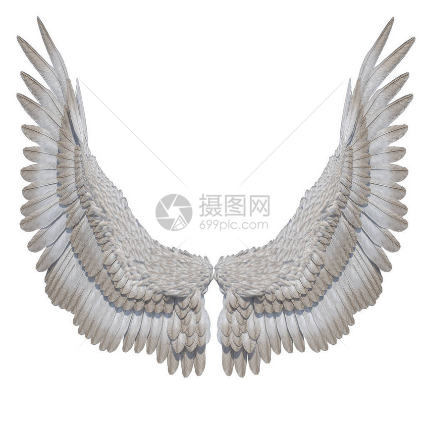 3D白背景的白色幻想天使翼图片