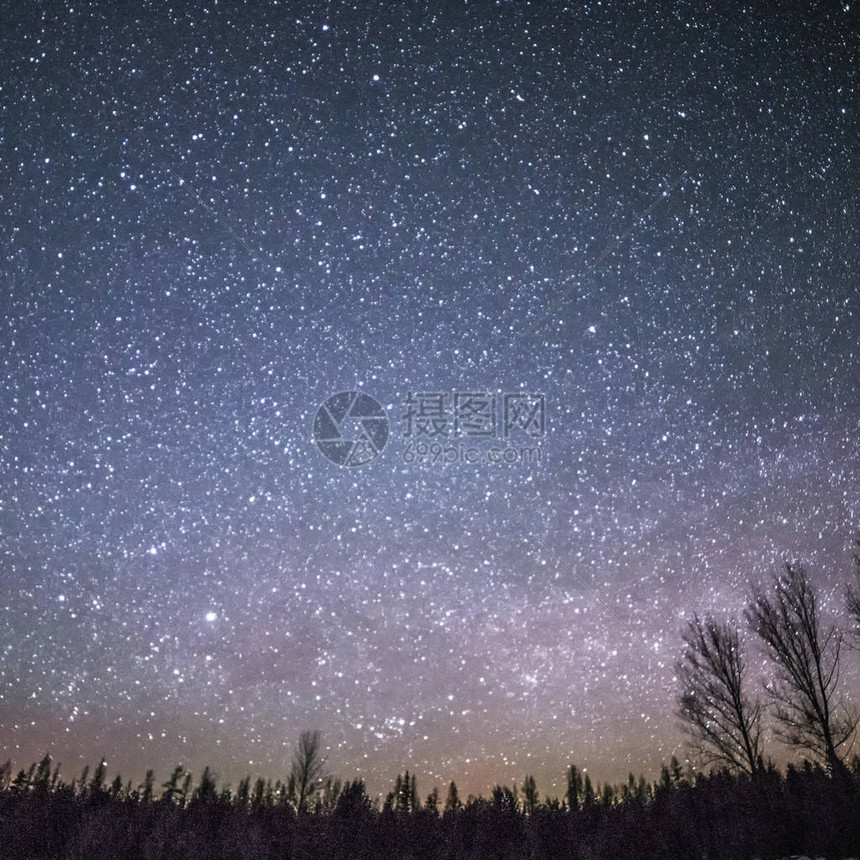 夜晚的乡村景观树木和星和雪图片