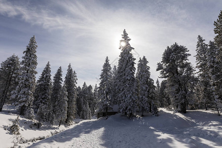在Langis的冬季徒步足迹穿过瑞士高清图片
