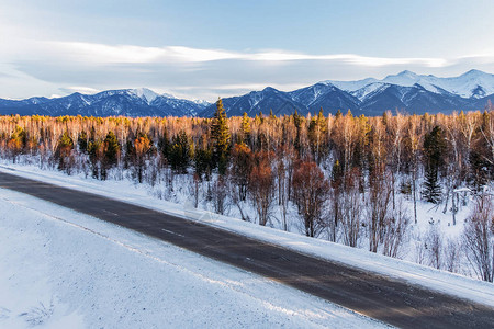 美丽的冬季公路树木和雪山俄罗斯联邦图片