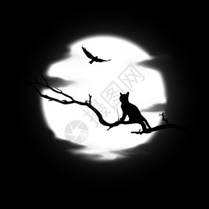 月亮背景上的猫黑白插图Blackandwhiteexplic图片