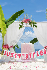 装饰沙滩花朵热带婚礼仪的布图片