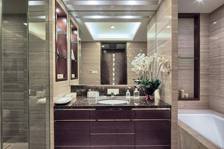 豪华酒店浴室内和装有现代风格装饰图片