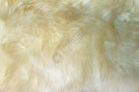 白色羊皮地毯的奢华羊毛质地图片