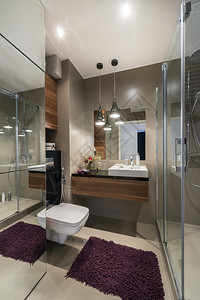 豪华浴室用欧洲式图片