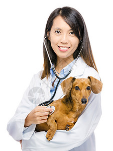 兽医和腊肠狗图片