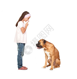 可爱的女孩命令沉默他的狗被隔离在白色图片