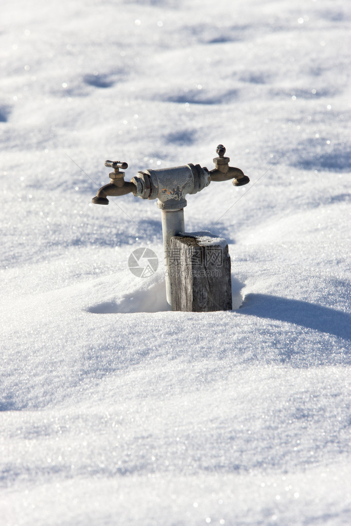 一个双头水龙头从雪中升起图片