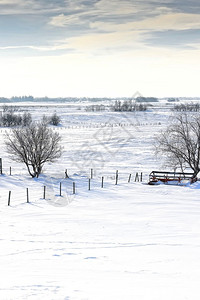 白雪皑的寒冷的冬季草原景观图片
