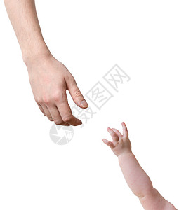 父亲和婴儿的手互相伸展在白种背图片