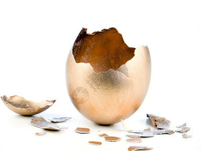 金蛋孵化白色背景上孤立图片