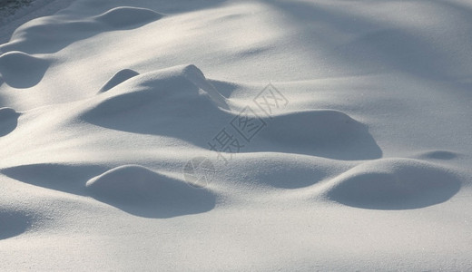 白雪刺塞图片