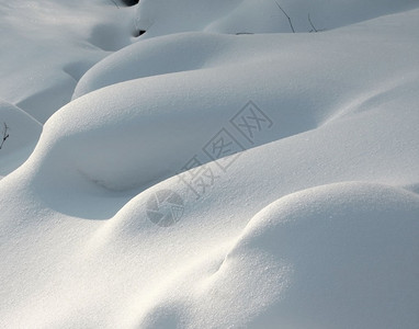 白雪刺塞图片