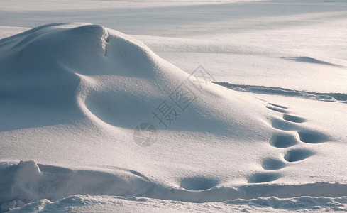 白雪刺塞图片