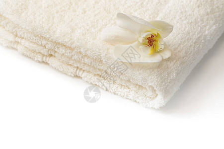 白色背景上的白色兰花毛巾图片