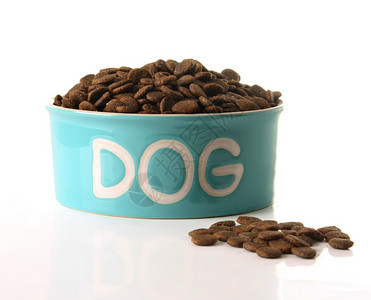 狗的食物在一个碗里图片