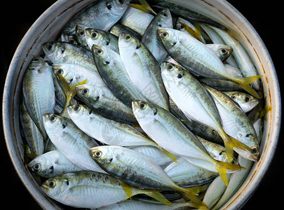 来自海里的新鲜鱼作为食物图片