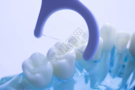 牙齿间牙齿清洁刷健康牙线在每颗牙齿之间的作用图片
