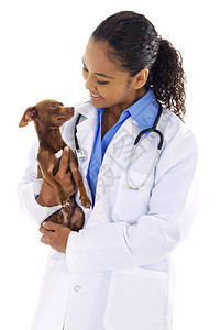 白色背景的小狗女兽医和小狗女兽图片