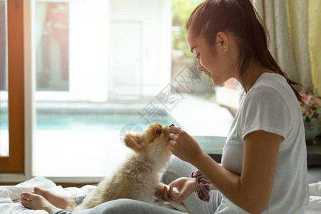 混血少女在床上教博美犬做恶作剧图片