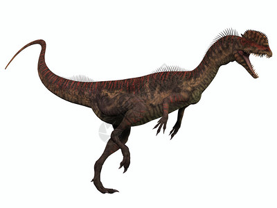 Dilophosurus是生活在侏罗纪时期的有血肉掠夺恐龙插画