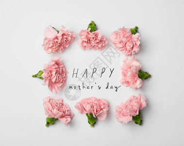 粉红康乃馨以白色背景和快乐的母亲的白日写字方式制成的花纹图片