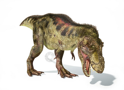 暴龙雷克斯恐龙高清图片