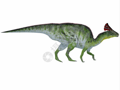 奥洛契奥洛罗泰坦是一只鸭子状的恐龙插画