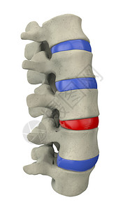 骨科医生人体脊柱部分的3d插图设计图片