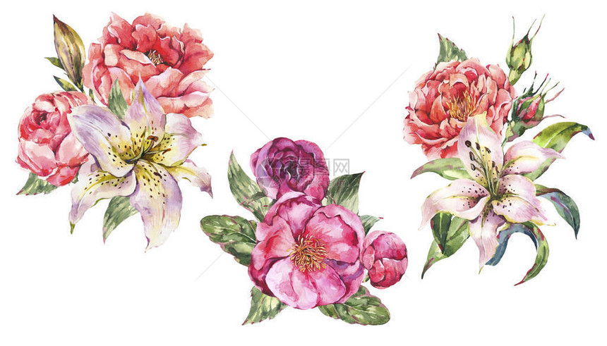 组的老式水彩花束与盛开的花朵玫瑰牡丹皇家白百合孤立在白色背景上的图片