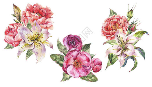 组的老式水彩花束与盛开的花朵玫瑰牡丹皇家白百合孤立在白色背景上的图片