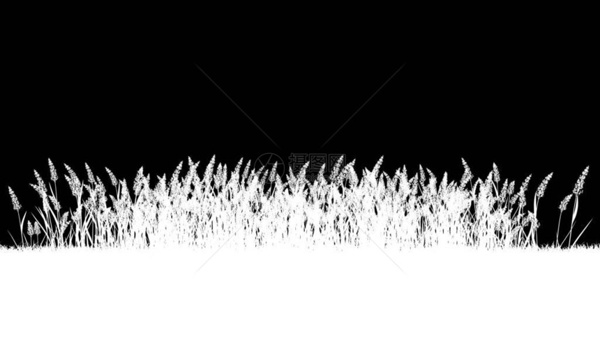 黑色剪影植物的3d渲染图片