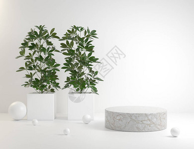凉拌鹅肝白色豪华石讲台与植物3d渲染设计图片