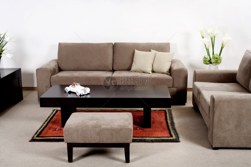 干净整洁的现代客厅配有经典沙发图片