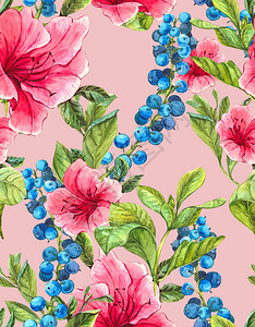 蓝莓粉红色热带花朵和叶子水彩色插图解的无背景图片