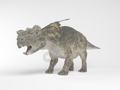 吞食3d表示恐龙在白骨上被隔绝在设计图片