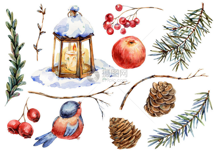 手绘水彩林地以复古风格设置贺卡婚礼请柬生日贺卡的冬季圣诞元素孤立在白色背景上的图片
