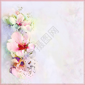 Floral贺卡面糊颜色花粉框背景图片
