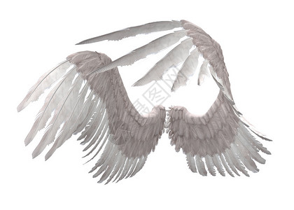白色羽毛天使翅膀的数字渲染图像图片