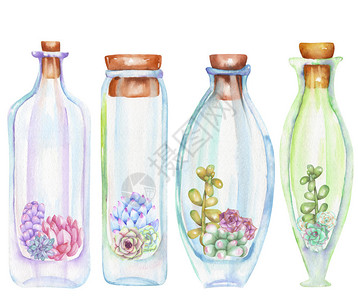 集聚的花卉成套水彩瓶子背景图片