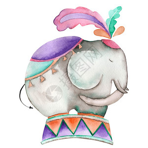 一手画的马戏团大象画在白色背景的水彩中孤立的马戏团节日和背景图片