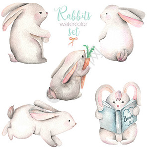 收集一套水彩色可爱兔子插图白色背景的手画图片