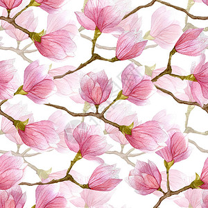 日本红枫季季手绘出印刷纺织启蒙贺卡海报等的图例插画