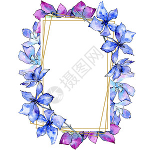 紫兰花水彩背景图解金多边形框架方形几何多元图片