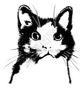 猫的黑白剪影水画图片