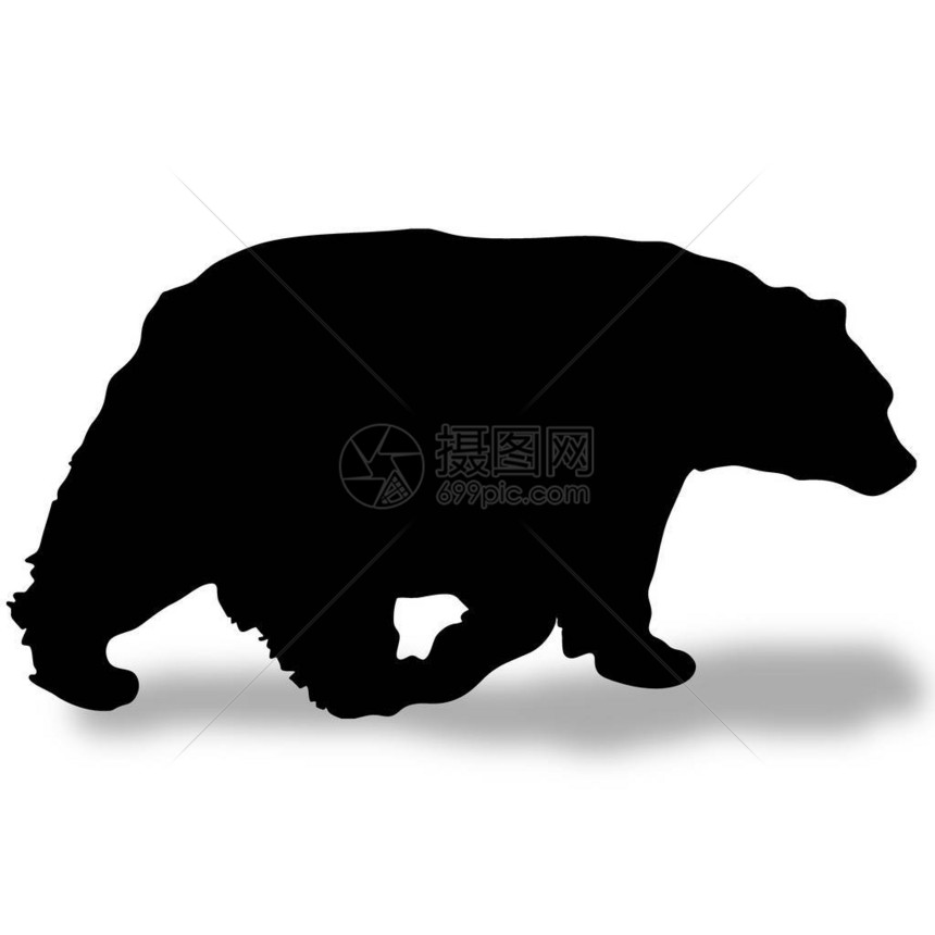 黑熊带着阴影行图片