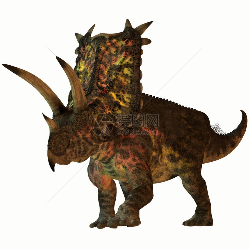 Pentaceratops是一种食草恐龙图片