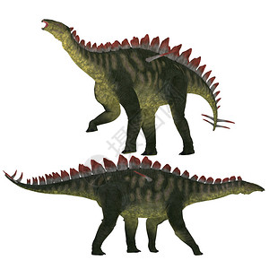 乌尔古戈米拉盖亚是斯捷戈索里德恐龙的元凶生活在插画