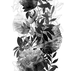 数字手画照片上面印有叶和花背景图片