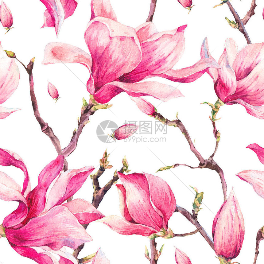 水彩花卉春天无缝图案复古花束木兰树枝和树叶白色背景的图片